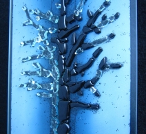 Proginis stiklinis paveikslas Kaledu medis
